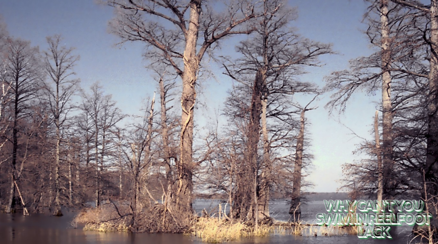 Why Can’t You Swim In Reelfoot Lack